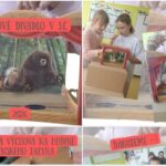 Read more about the article Bábkové divadlo v 3.C